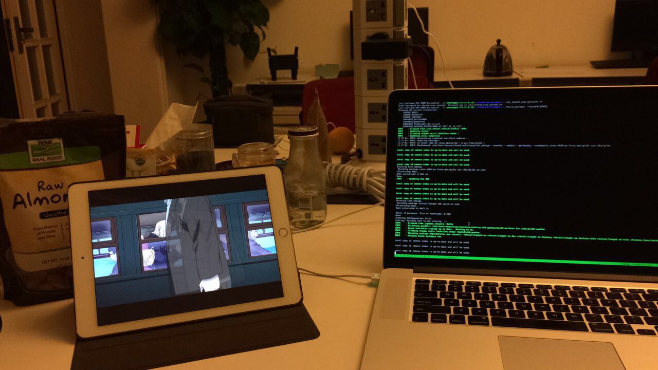 working-with-flintos